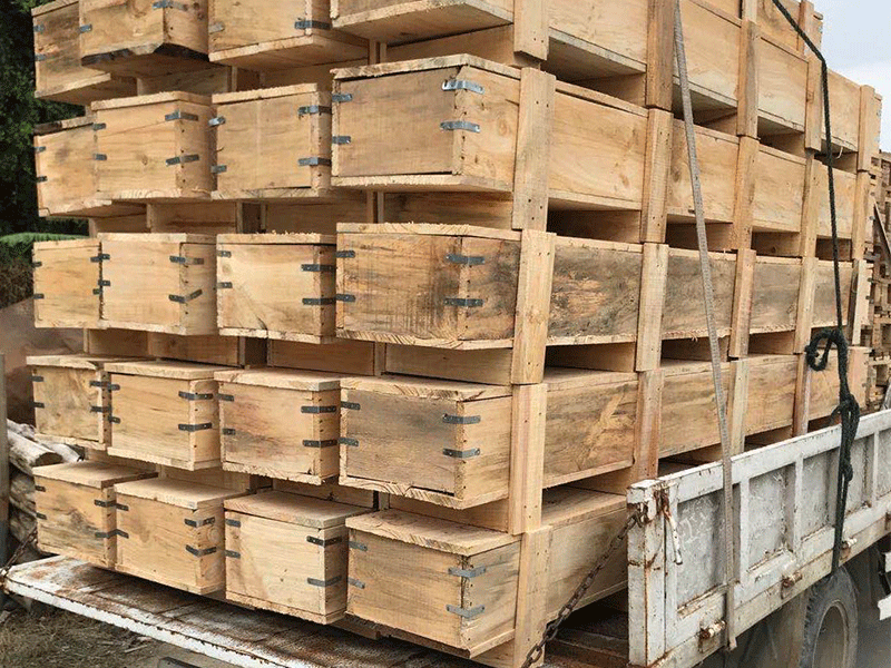 膠合箱，木箱 (22)